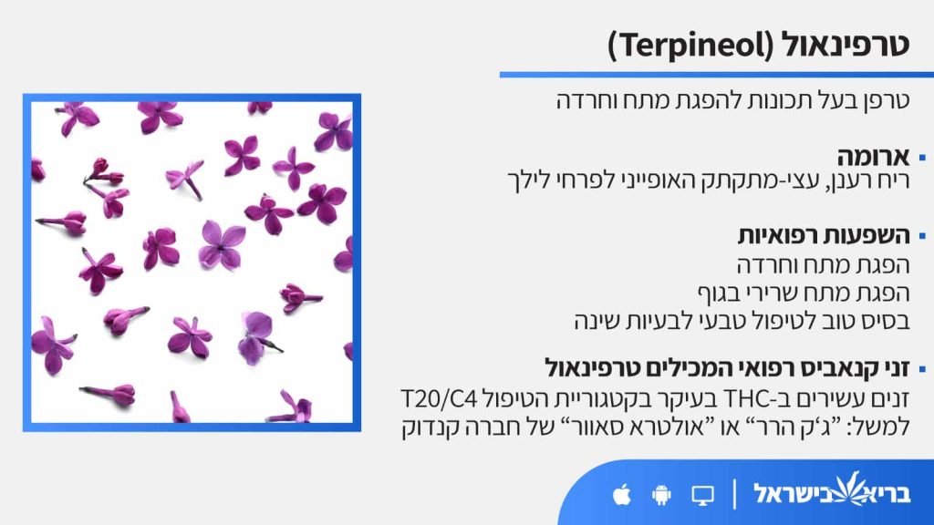 טרפן טרפינאול (Terpineol) כל מה שחשוב לדעת - בריא בישראל