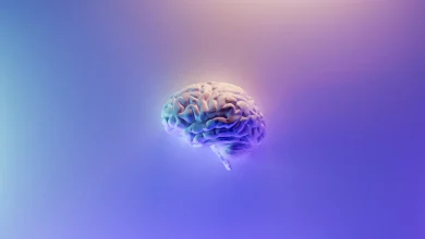 איך סיבידי משפיע על הדופמין במוח